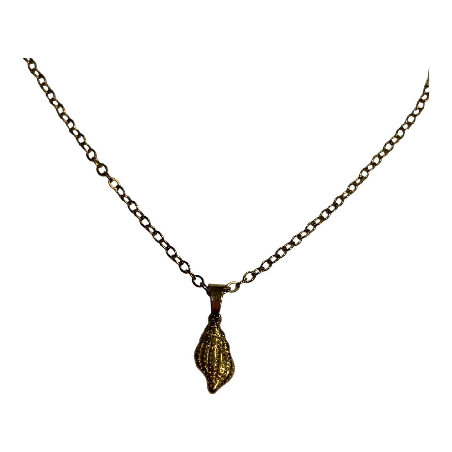 Golden Sea Shell